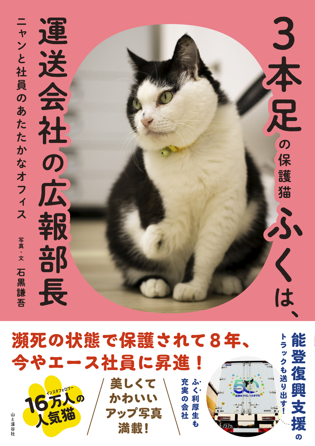 3本足の保護猫ふくは、運送会社の広報部長の画像
