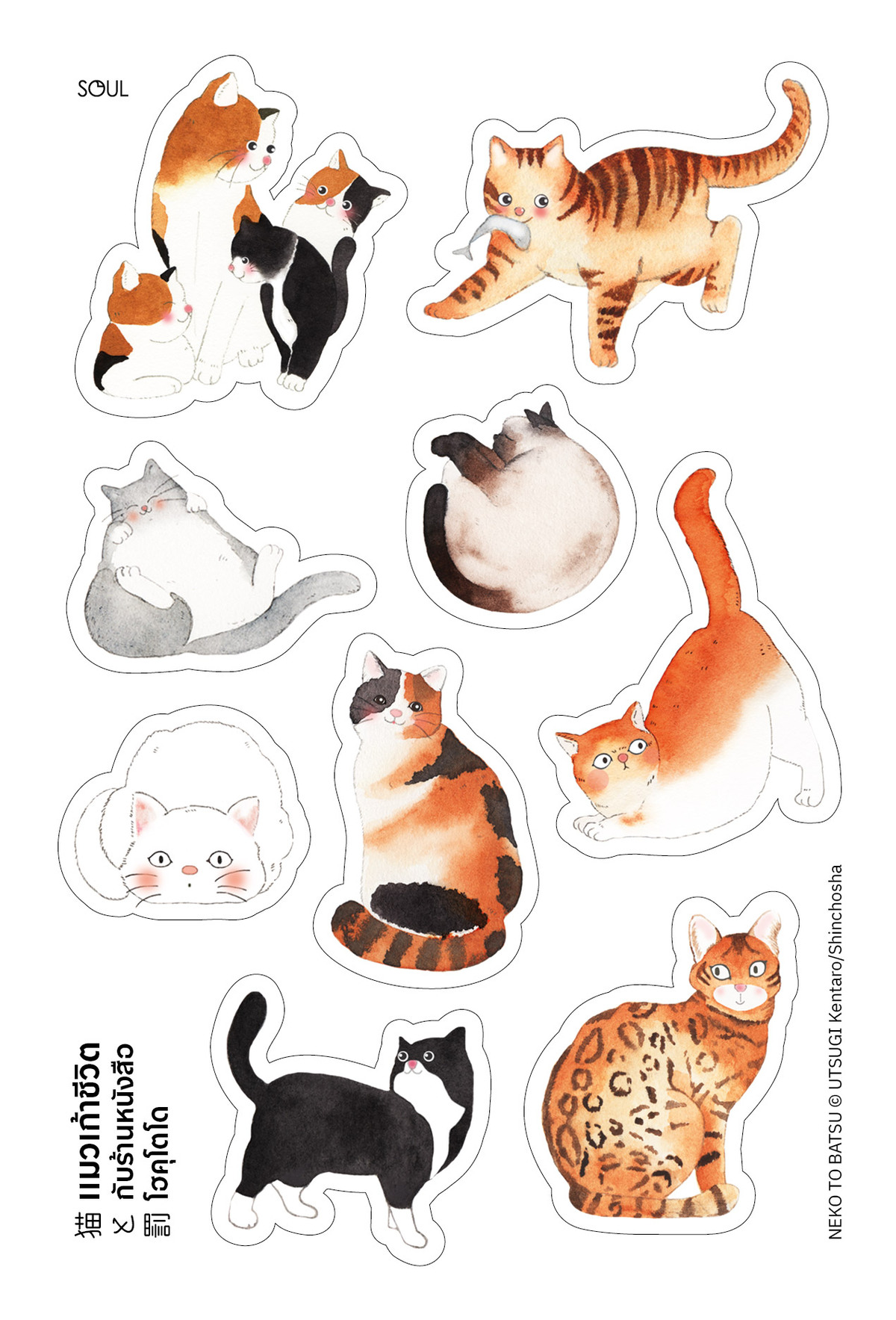 宇津木健太郎の『猫と罰』世界11カ国で翻訳の画像