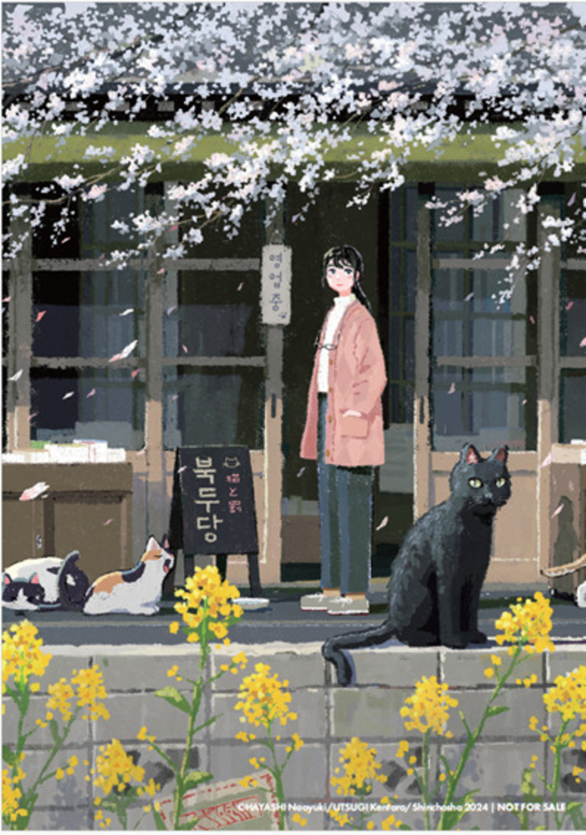 宇津木健太郎の『猫と罰』世界11カ国で翻訳の画像