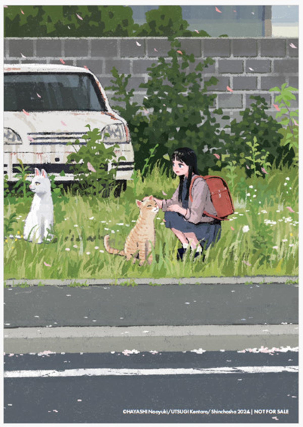 宇津木健太郎の『猫と罰』世界11カ国で翻訳の画像