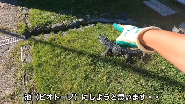 釣り系YouTuberが制作したビオトープ