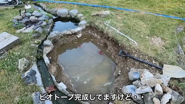 釣り系YouTuberが制作したビオトープ
