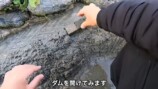 釣り系YouTuberが制作したビオトープ