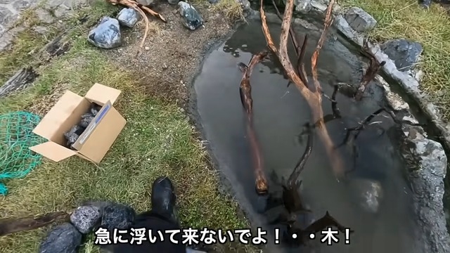 釣り系YouTuberが制作したビオトープ