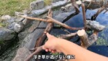 釣り系YouTuberが制作したビオトープ