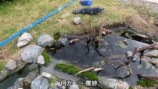 釣り系YouTuberが制作したビオトープ