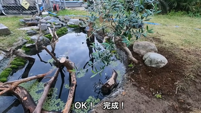 釣り系YouTuberが制作したビオトープ