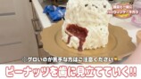 希空が作ったハロウィンケーキ