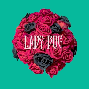 ナナホシ管弦楽団『LADY BUG』ジャケット