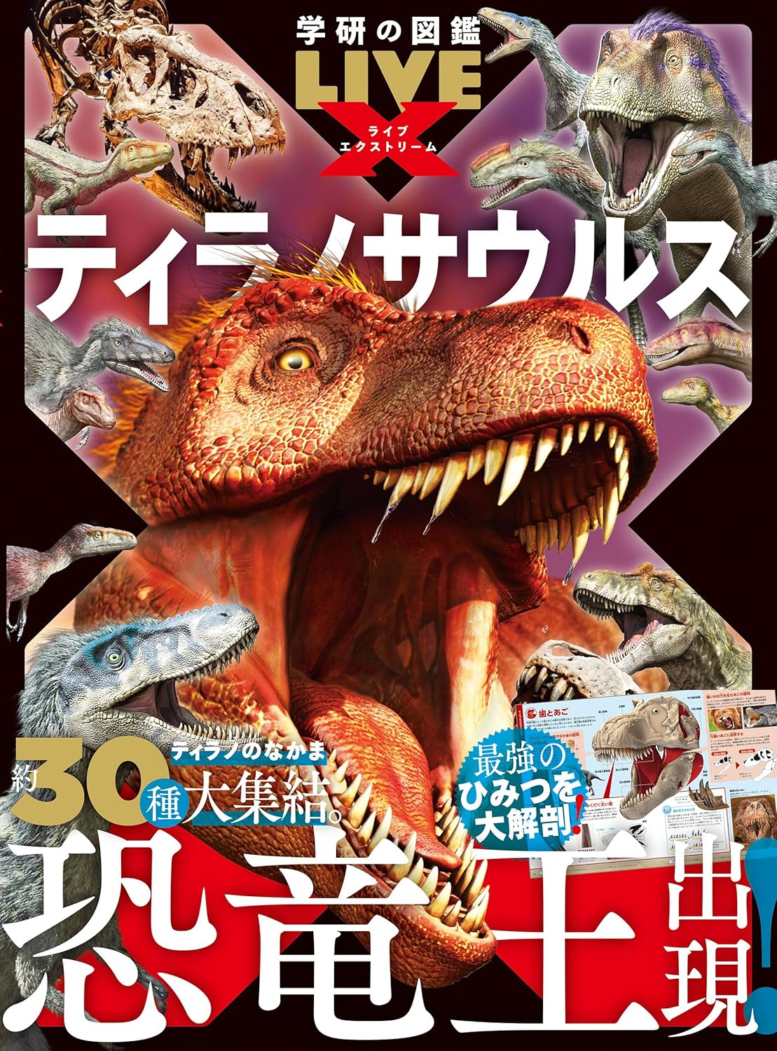 ライブ配信で学研の図鑑が4000部完売の理由
