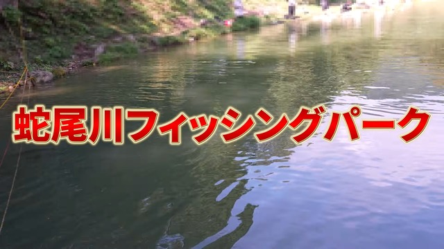 フィッシュパークで釣れたアルビノのニジマス