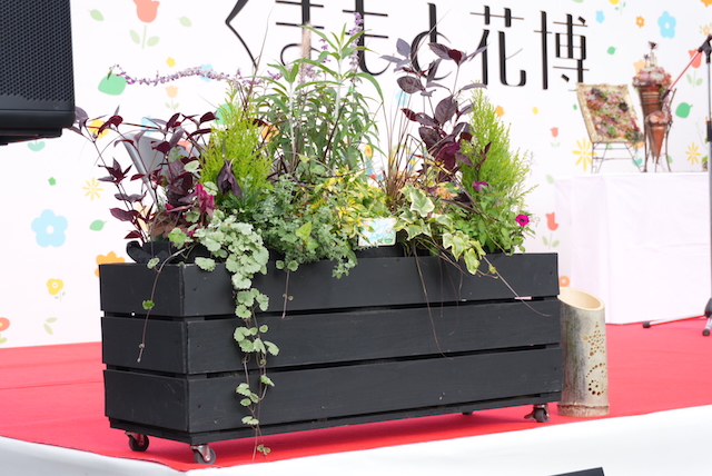 EXILE NESMITHによる寄せ植え作品