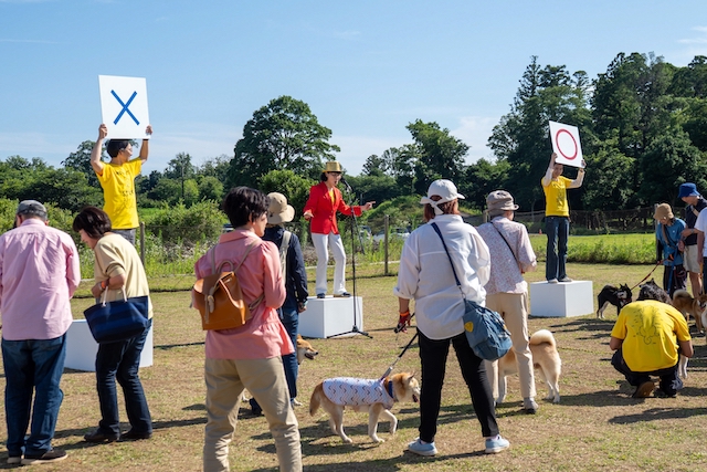 『シバのおきて』“最期まで生きる”ためにの画像