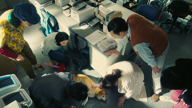 『シバのおきて』“最期まで生きる”ためにの画像