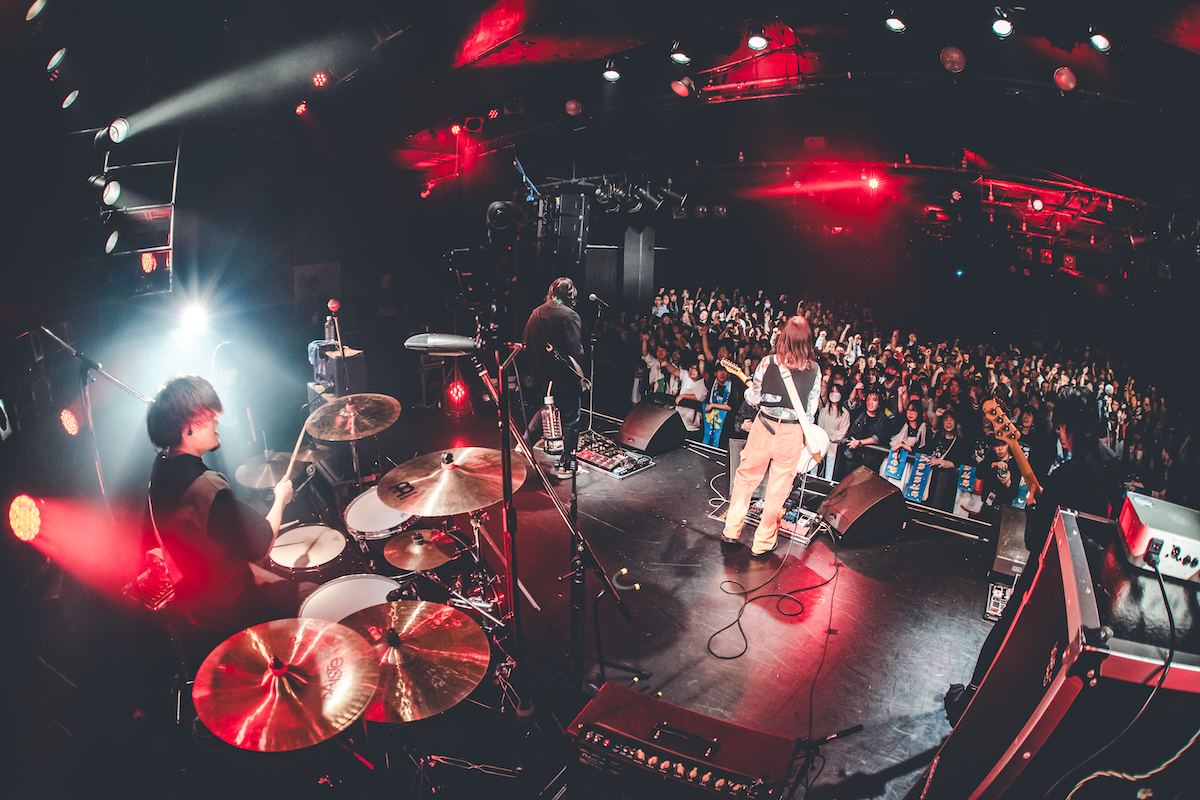 明くる夜の羊　ライブ写真