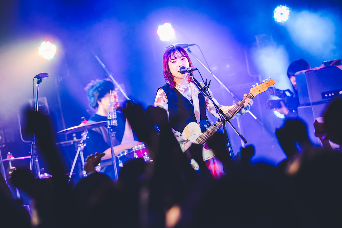 明くる夜の羊　ライブ写真