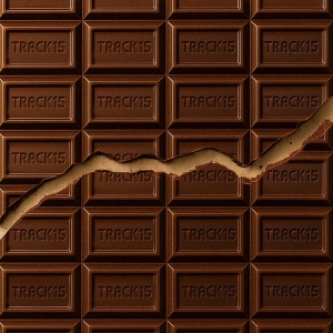 TRACK15「ダーリン」ジャケット