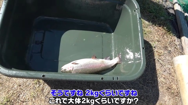 かねこが育てているわさび畑