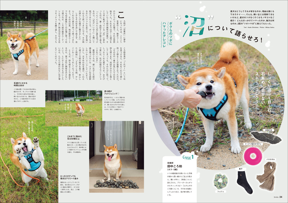 犬との暮らしを充実させる「神習慣」とはの画像