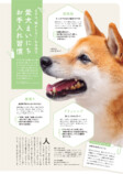 犬との暮らしを充実させる「神習慣」とはの画像