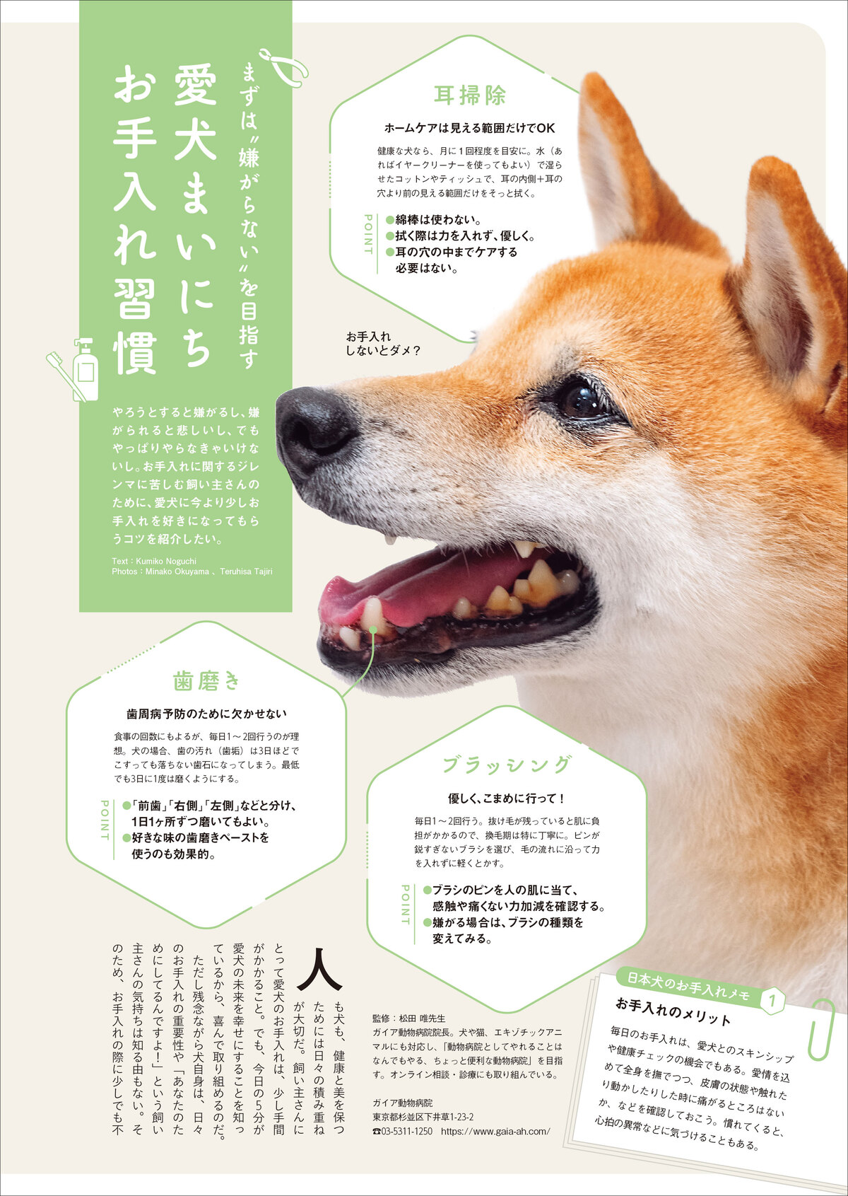 犬との暮らしを充実させる「神習慣」とはの画像