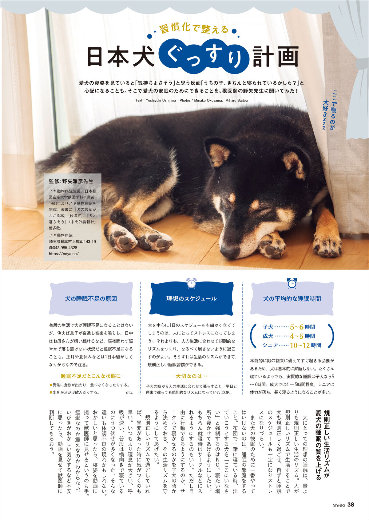 犬との暮らしを充実させる「神習慣」とはの画像