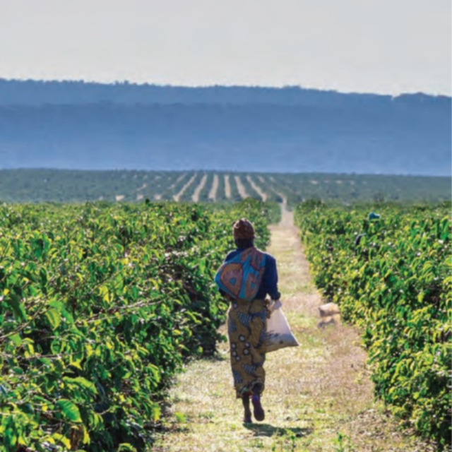 imperfect イメージ画像