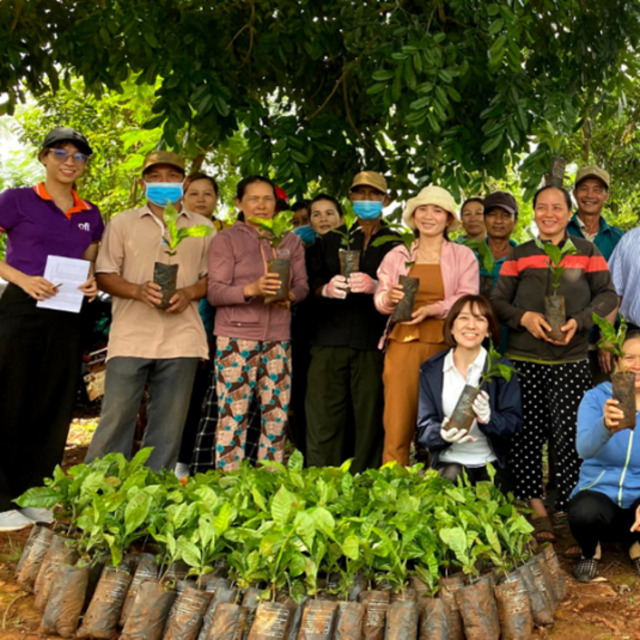 imperfect イメージ画像