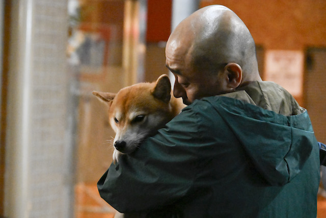 『ちょっとだけエスパー』四季に選ばれし者はの画像