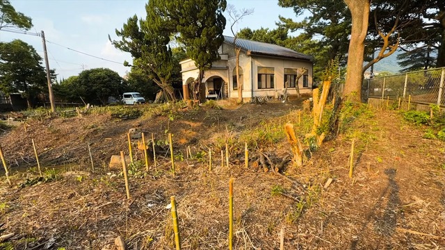 古民家の周りを伐採開拓するこつぶ