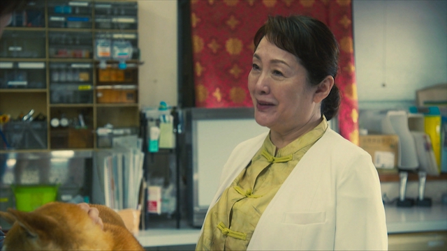 『シバのおきて』人生が続いていく最終回の画像