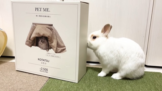 『3COINS』のペット用こたつ