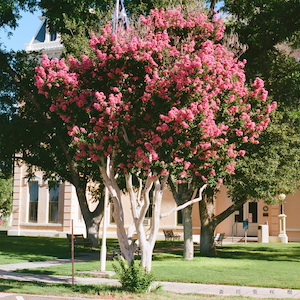 「あの日の僕らへ」