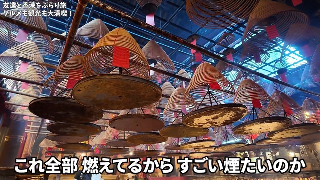 香港グルメを楽しむいけちゃん