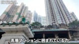 香港グルメを楽しむいけちゃん