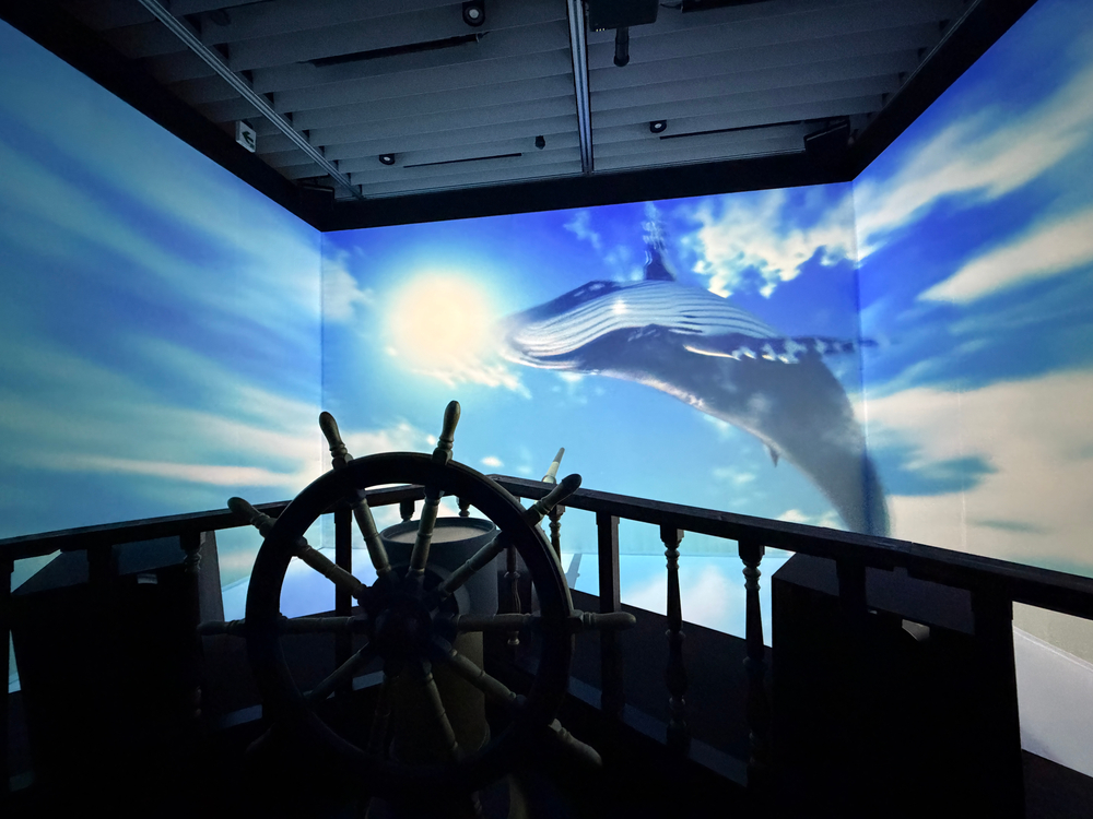 『Wonder Museum』内覧写真