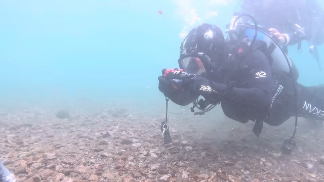 海中で魚を撮影する濱口優