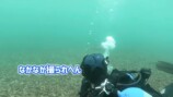 海中で魚を撮影する濱口優