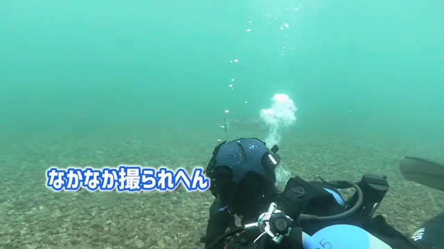 海中で魚を撮影する濱口優