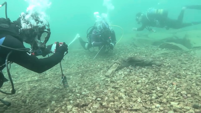 海中で魚を撮影する濱口優