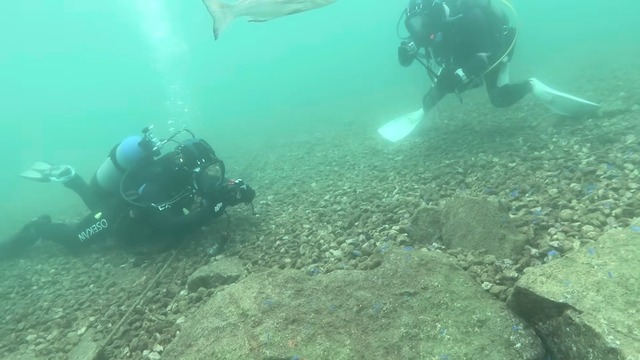 海中で魚を撮影する濱口優