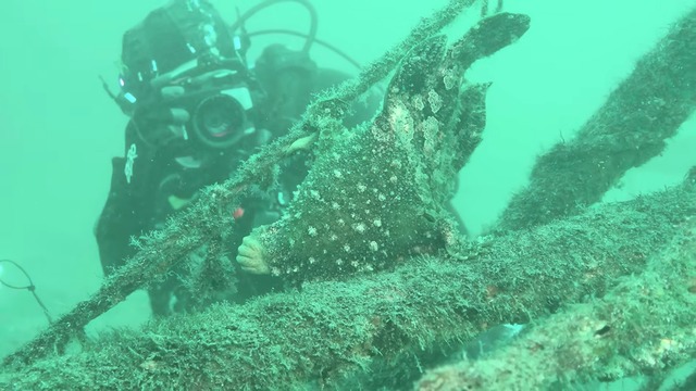 海中で魚を撮影する濱口優