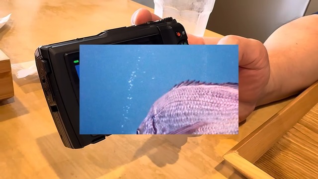 海中で魚を撮影する濱口優