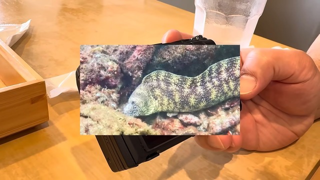 海中で魚を撮影する濱口優