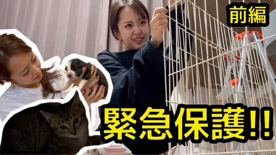 ギャルタレント・みりちゃむ、近所の猫を保護