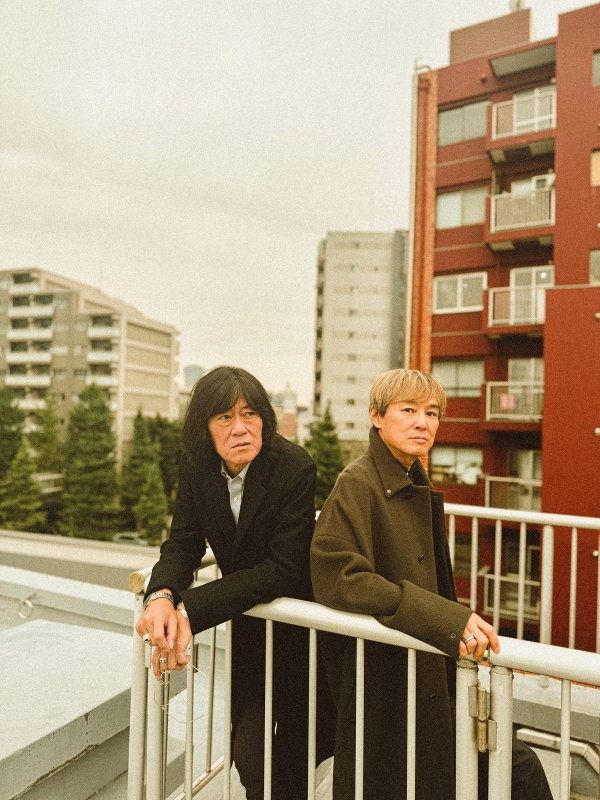 アナログ・モンキーズ、活動再開