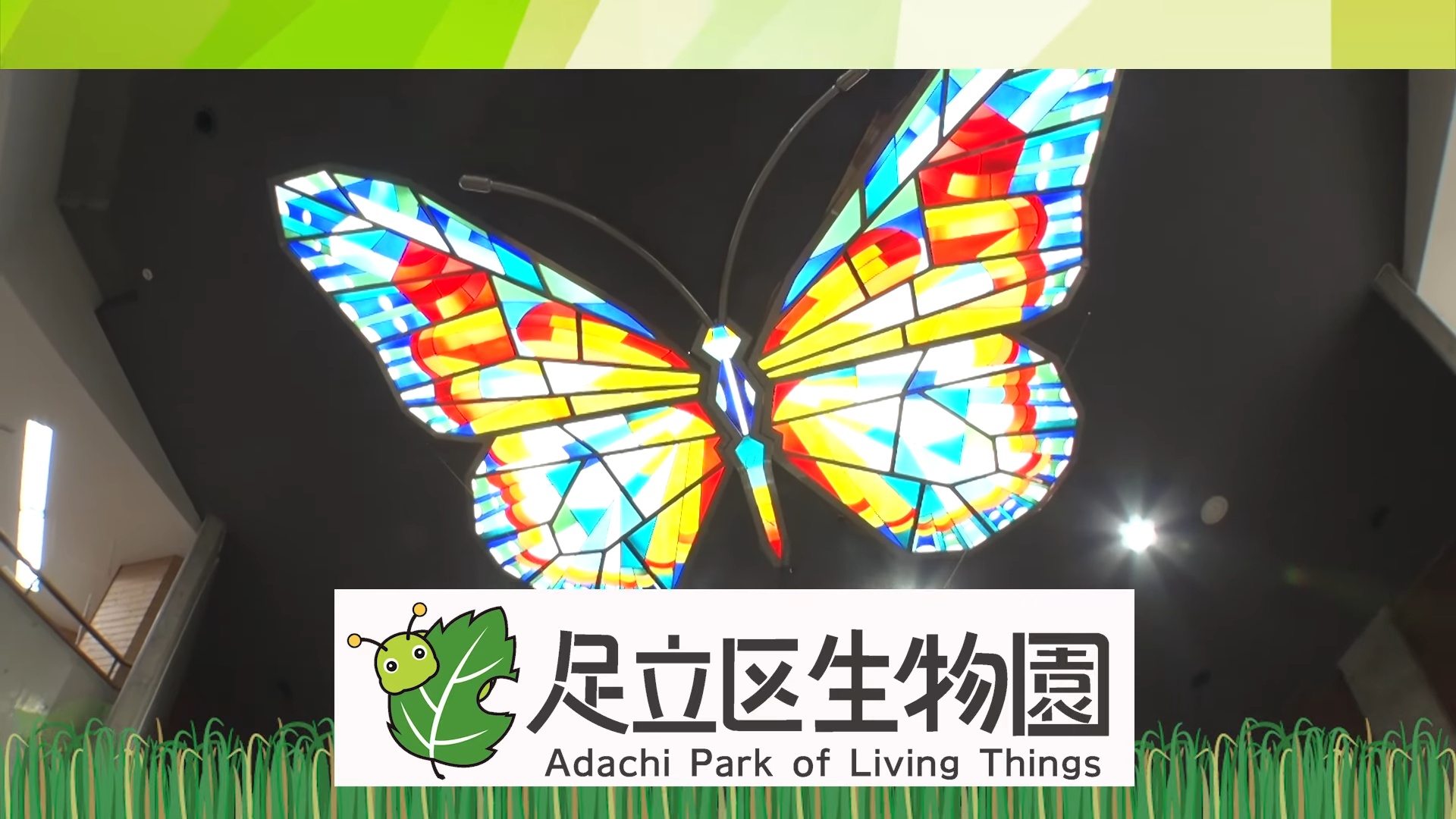 香川照之、YouTubeで生物園を訪ね大興奮の画像