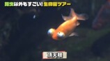 香川照之、YouTubeで生物園を訪ね大興奮の画像