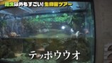 香川照之、YouTubeで生物園を訪ね大興奮の画像