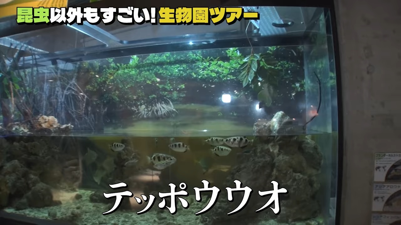 香川照之、YouTubeで生物園を訪ね大興奮の画像
